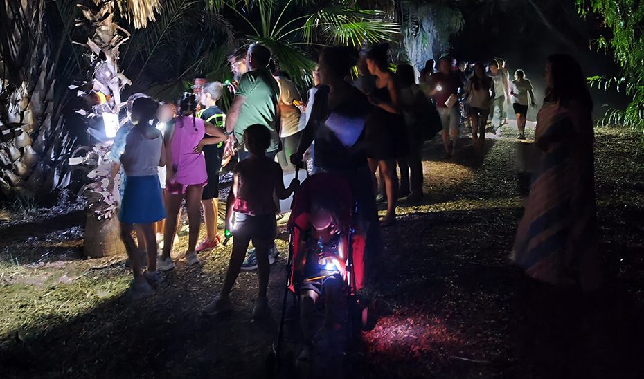 Noches de verano y diversión en familia en el parque