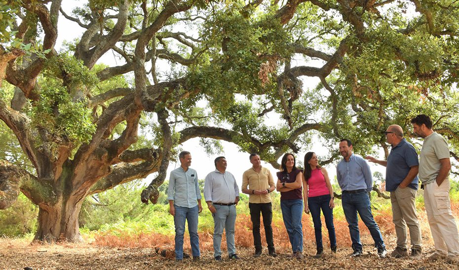 La Junta rechaza de nuevo el deslinde de las marismas de Doñana pretendido por el Estado