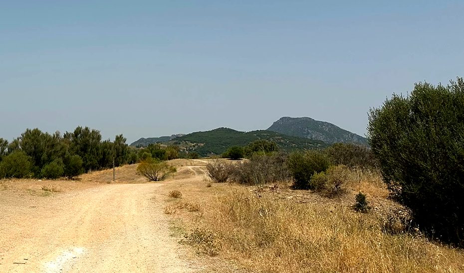 La Junta tramita el aprovechamiento ganadero de áreas de pasto de Ubrique, en la provincia de Cádiz