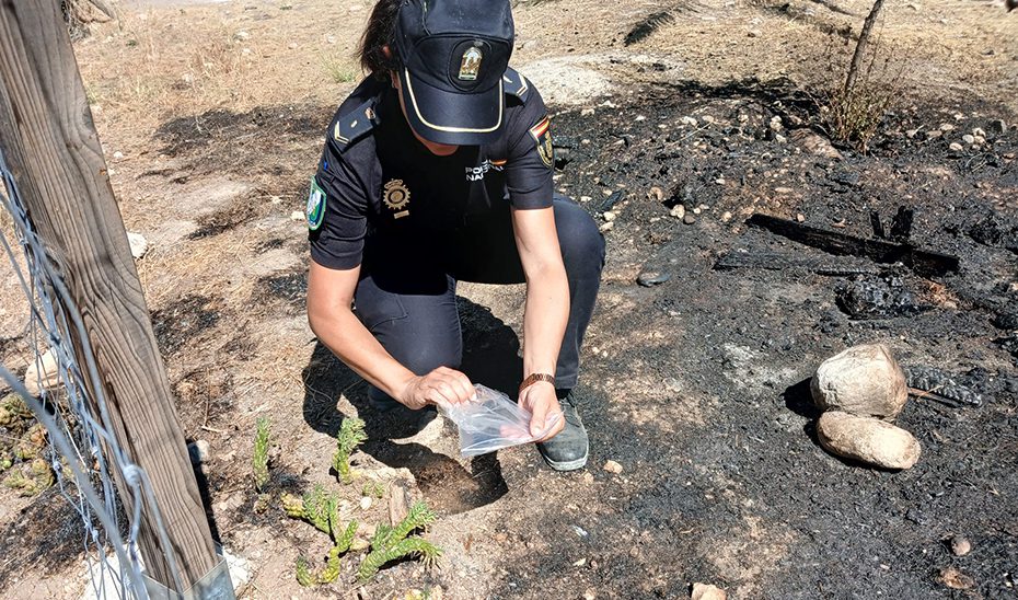 Dos investigados por provocar el incendio forestal del Cerro de San Miguel en Granada