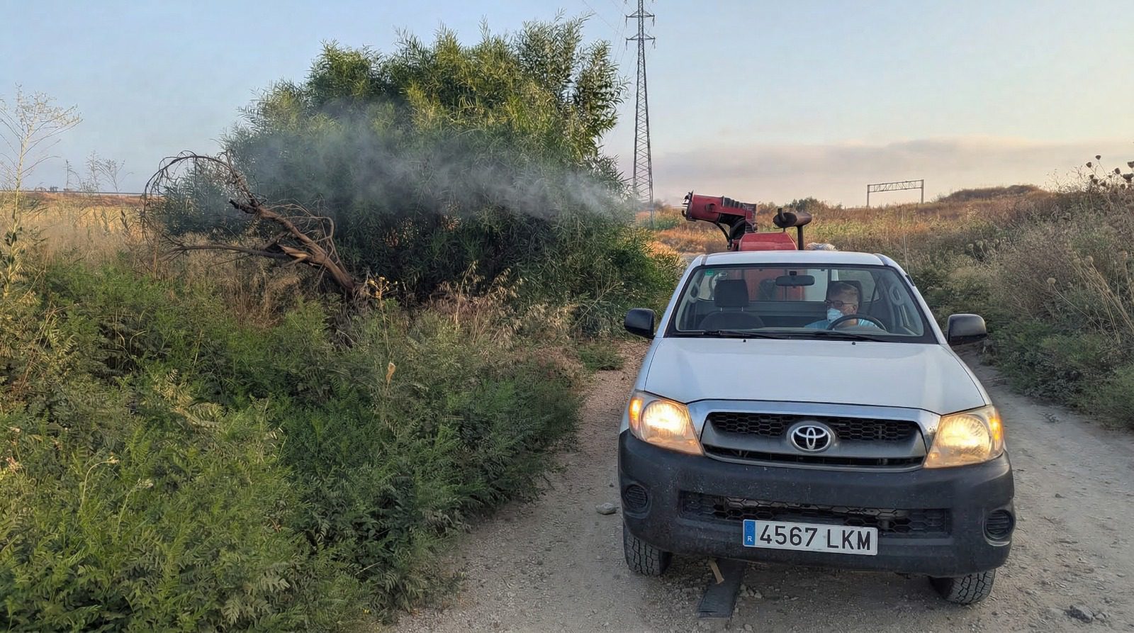 La Diputación mantiene en Aznalcázar los trabajos intensivos de vigilancia y control frente a los mosquitos que pueden transmitir el VNO tras la prórroga de la alerta