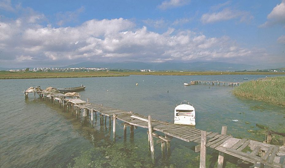 La Junta destinará casi 2,4 millones de euros a renaturalizar el río Palmones, en Los Barrios