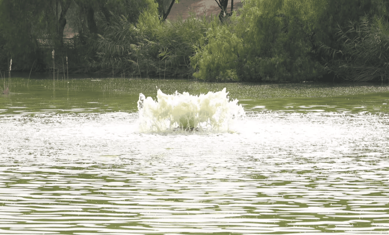 El Ayuntamiento finaliza la instalación de más de una veintena de aireadores para mejorar la oxigenación de las láminas de agua de los parques
