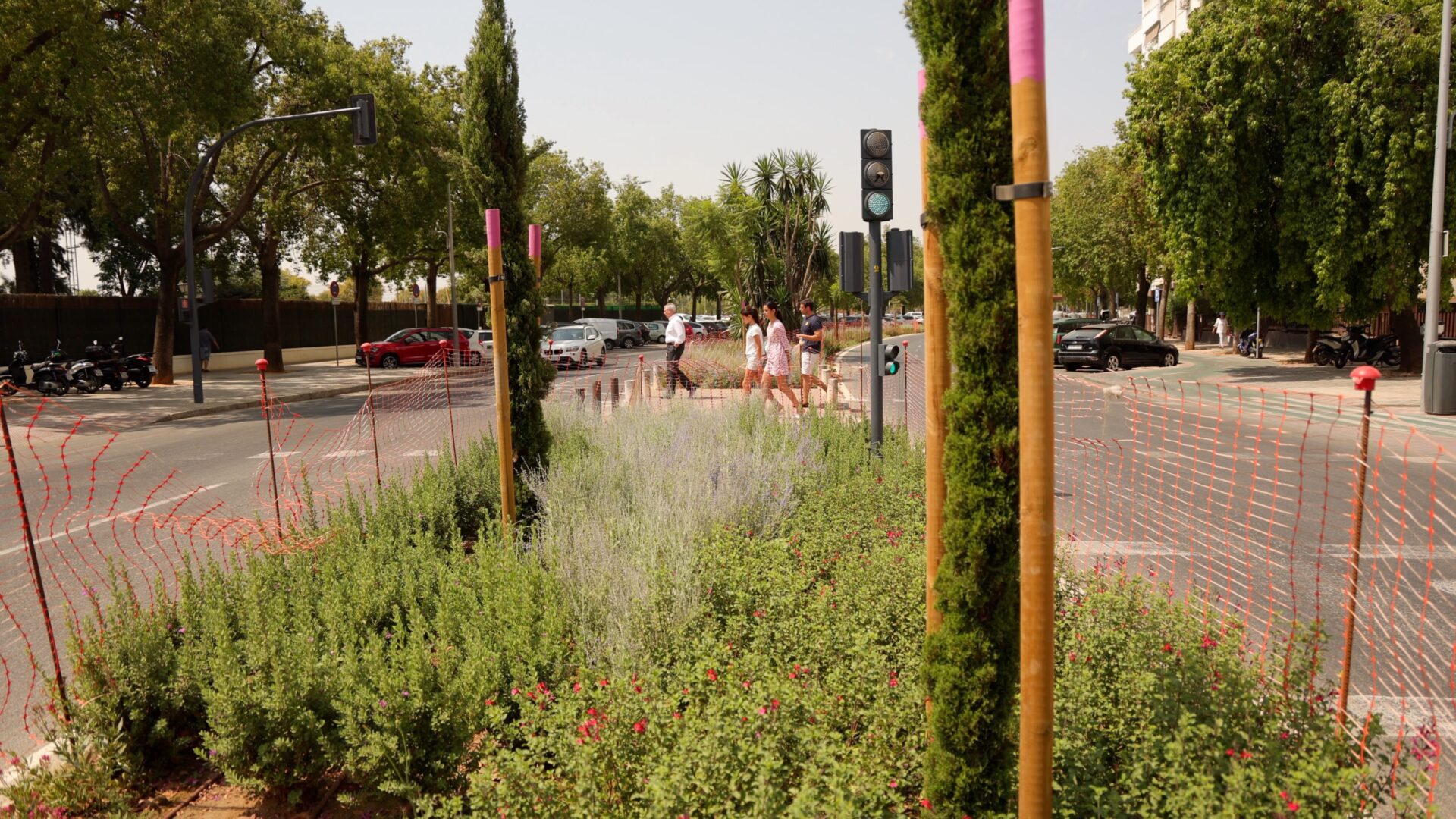 El Gobierno de Sanz concluye la restauración paisajística de la avenida Presidente Adolfo Suárez, con 59 nuevos árboles y más de 6300 arbustos