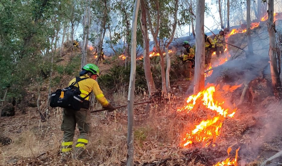 Más de un centenar de efectivos sigue trabajado en el incendio forestal de Niebla