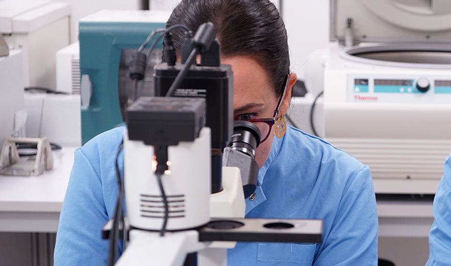 Diseñan unas ‘tijeras moleculares’ que frenan la infección del VIH en células de laboratorio