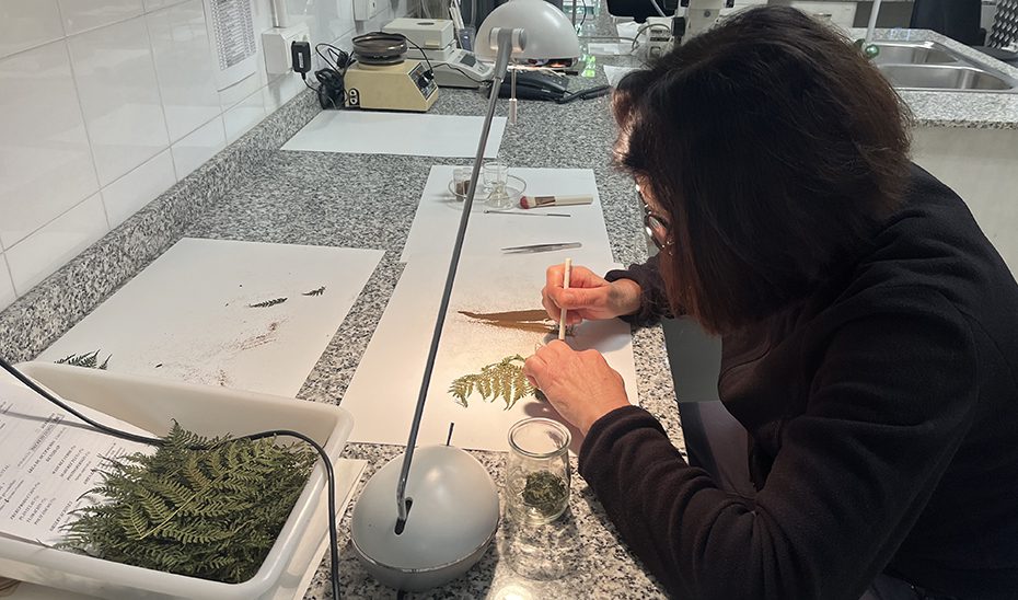 El Banco de Germoplasma Vegetal Andaluz: el ‘Arca de Noé’ que custodia el futuro de la flora silvestre