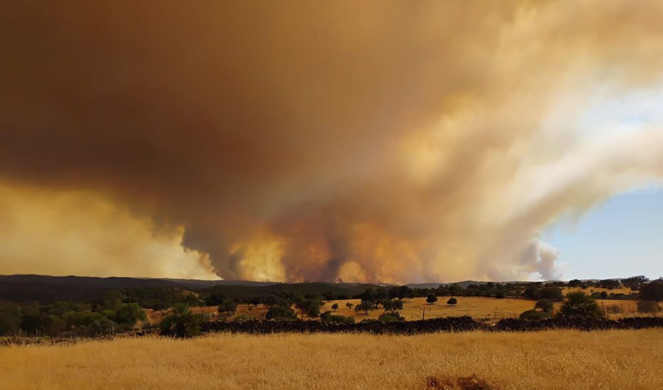 Las quemas de ensanche y la maquinaria pesada centran los trabajos en el incendio de Niebla