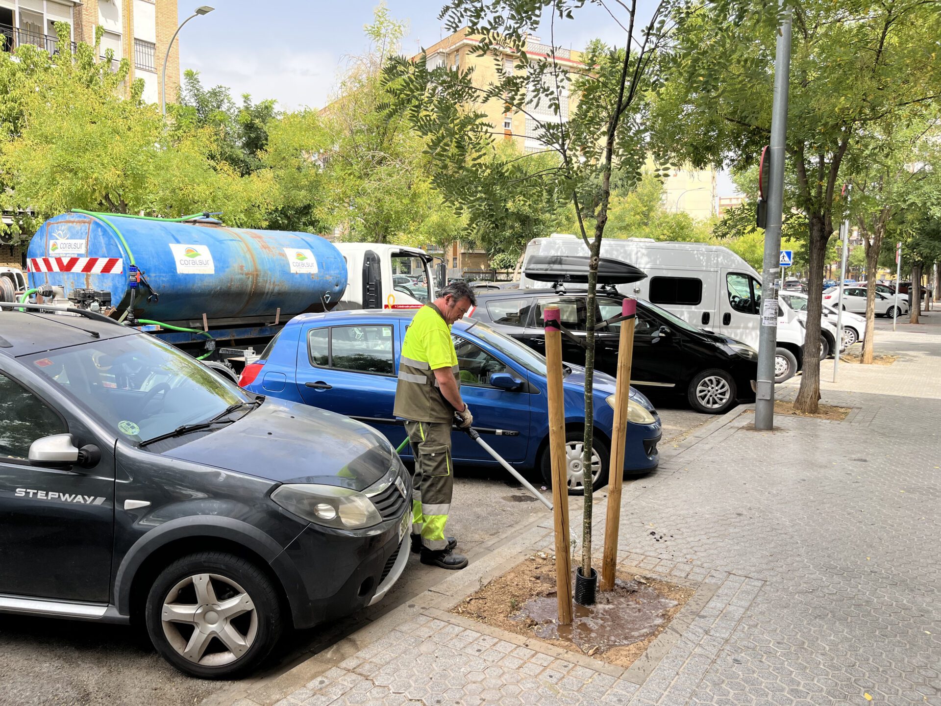 El Ayuntamiento destina 20 000 litros de agua semanales al refuerzo del riego del arbolado en el distrito Macarena
