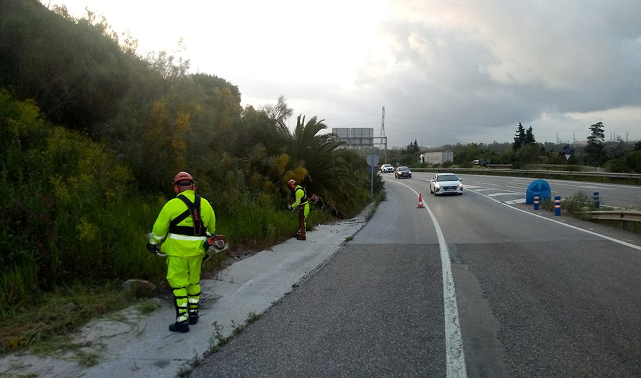 Licitado por 22 millones el contrato para el control de la vegetación en las carreteras andaluzas