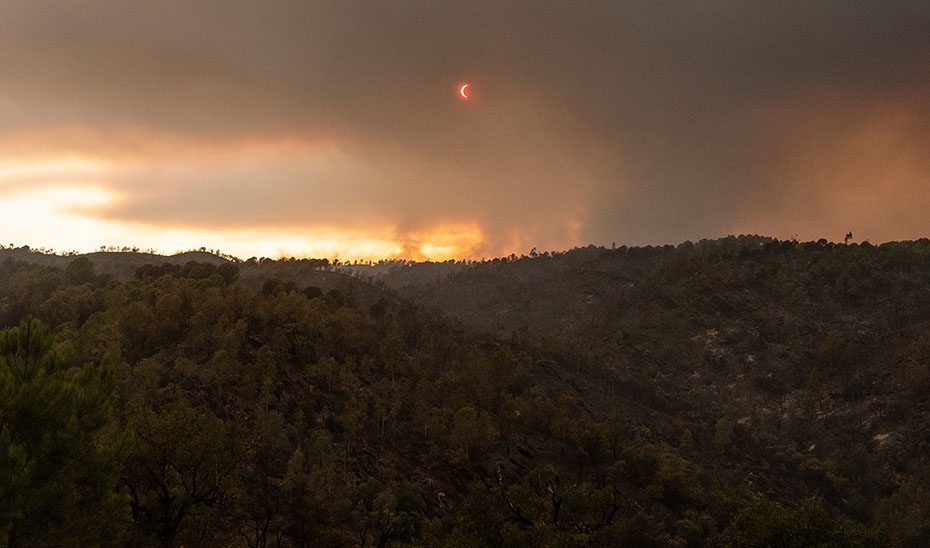 Autorizados los primeros realojos en Raboconejo, Caballón, La Florida y Las Arenas