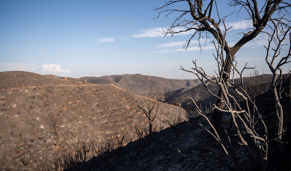 La Junta da por estabilizado el incendio de Niebla y autoriza el regreso de las últimas 417 personas desalojadas