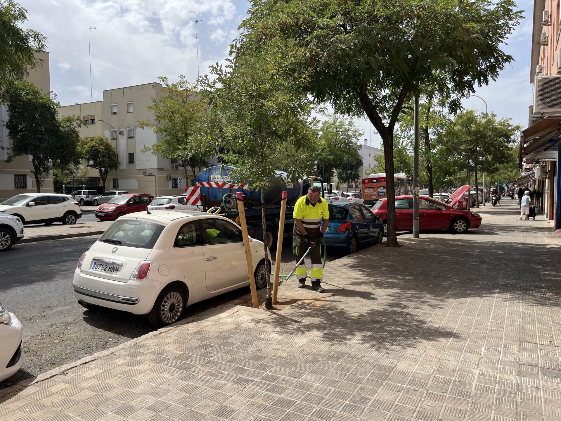 El Ayuntamiento intensifica con 27 500 litros semanales el riego del arbolado en el distrito Norte para favorecer su adaptación al verano
