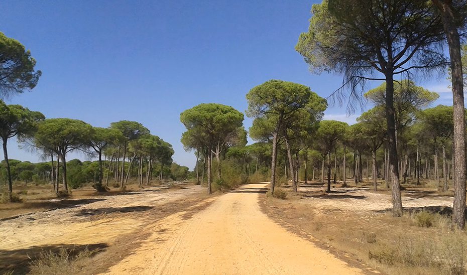 Andalucía impulsa la mayor inversión a nivel nacional para la recuperación de sus vías pecuarias
