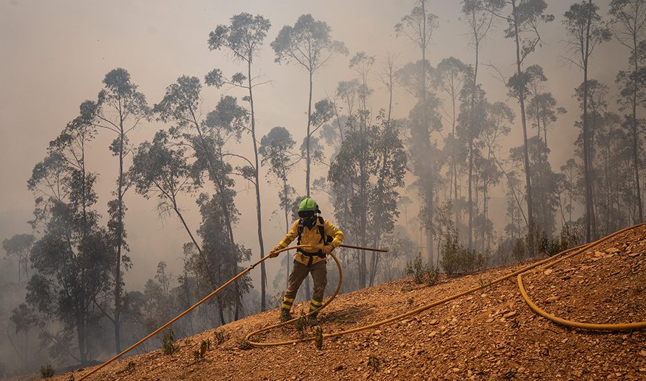 La Junta anuncia que el incendio de Niebla ha quemado una superficie de 33.000 hectáreas