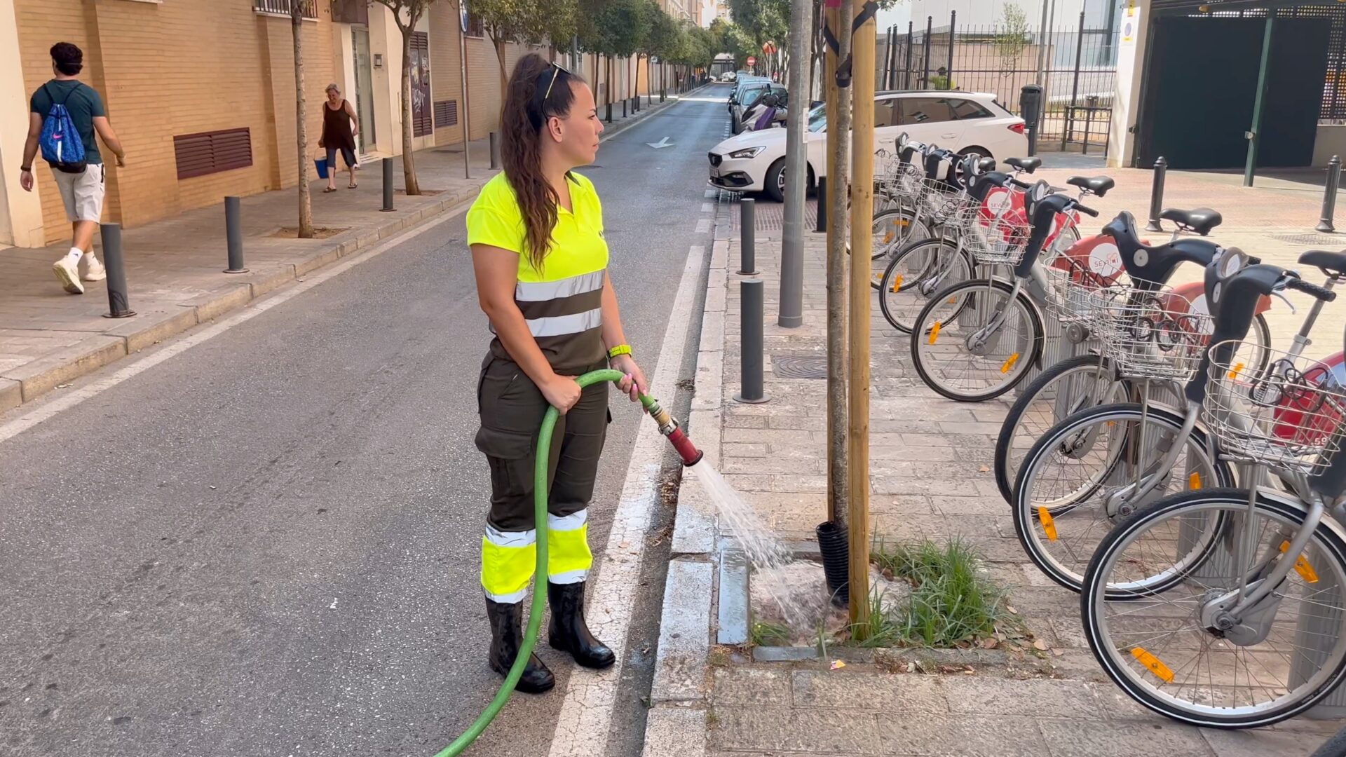 El Ayuntamiento impulsa el refuerzo del riego del nuevo arbolado en San Pablo–Santa Justa para consolidar su crecimiento