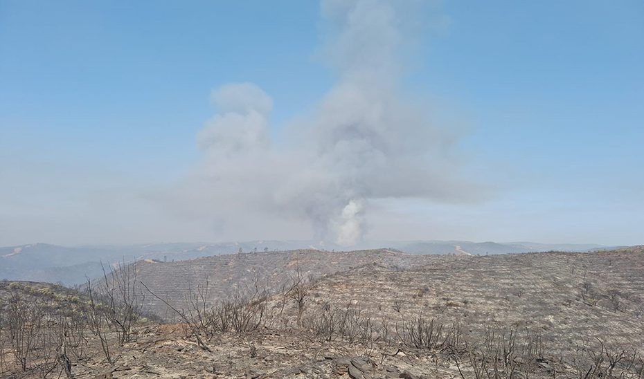 Agricultura y Sostenibilidad piden la declaración de ‘desastre natural’ por el incendio de Niebla