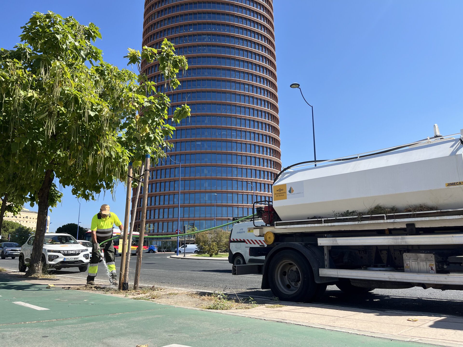 El Ayuntamiento mantiene un plan específico de riego para proteger el nuevo arbolado del distrito Triana durante el verano