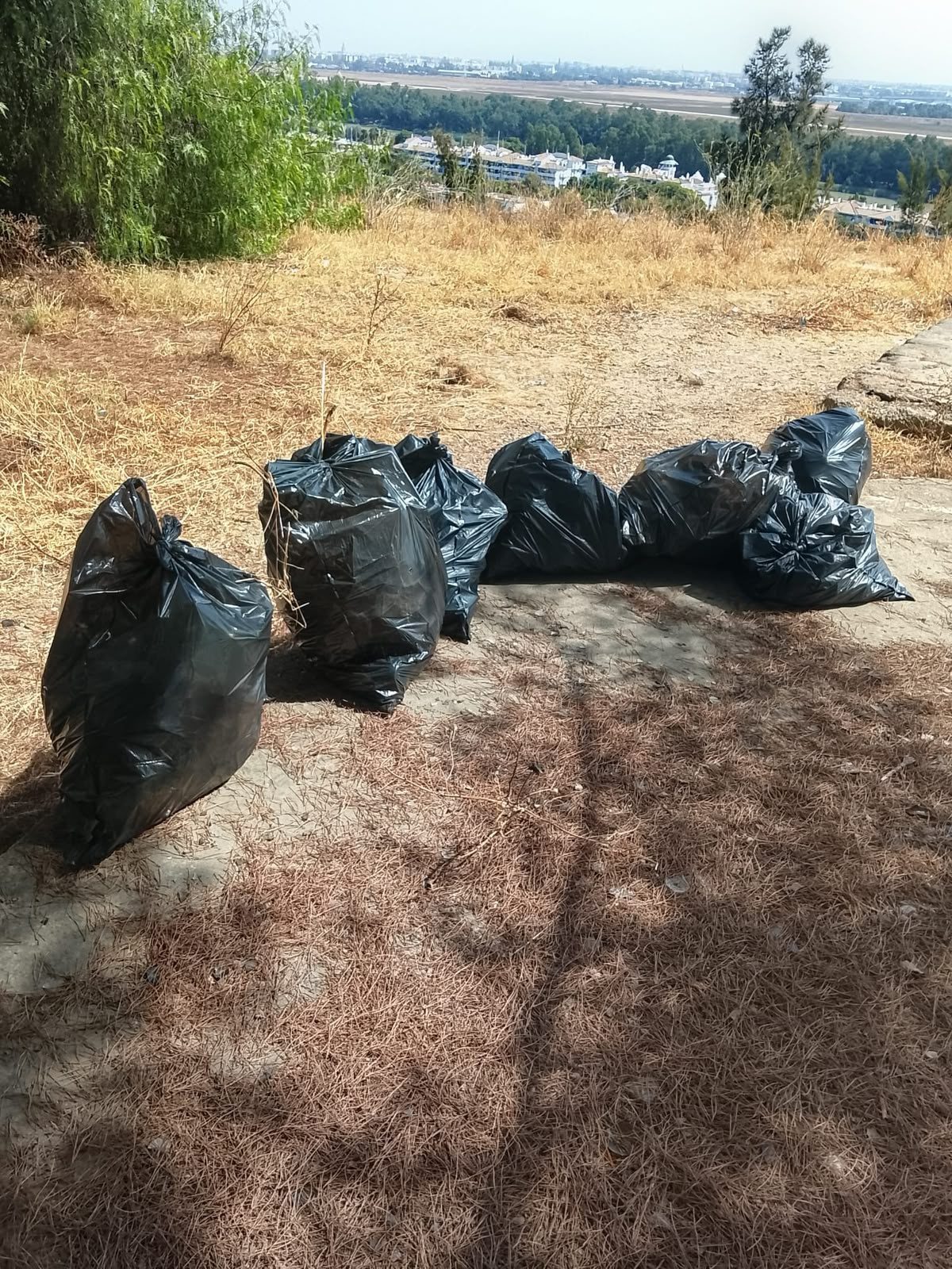Gelves refuerza la limpieza y el mantenimiento de la Cornisa como medida preventiva frente a incendios