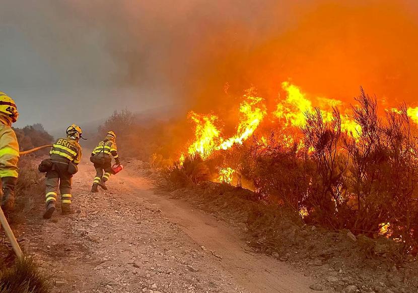 Analizamos las medidas de prevención frente a los incendios forestales en Andalucía