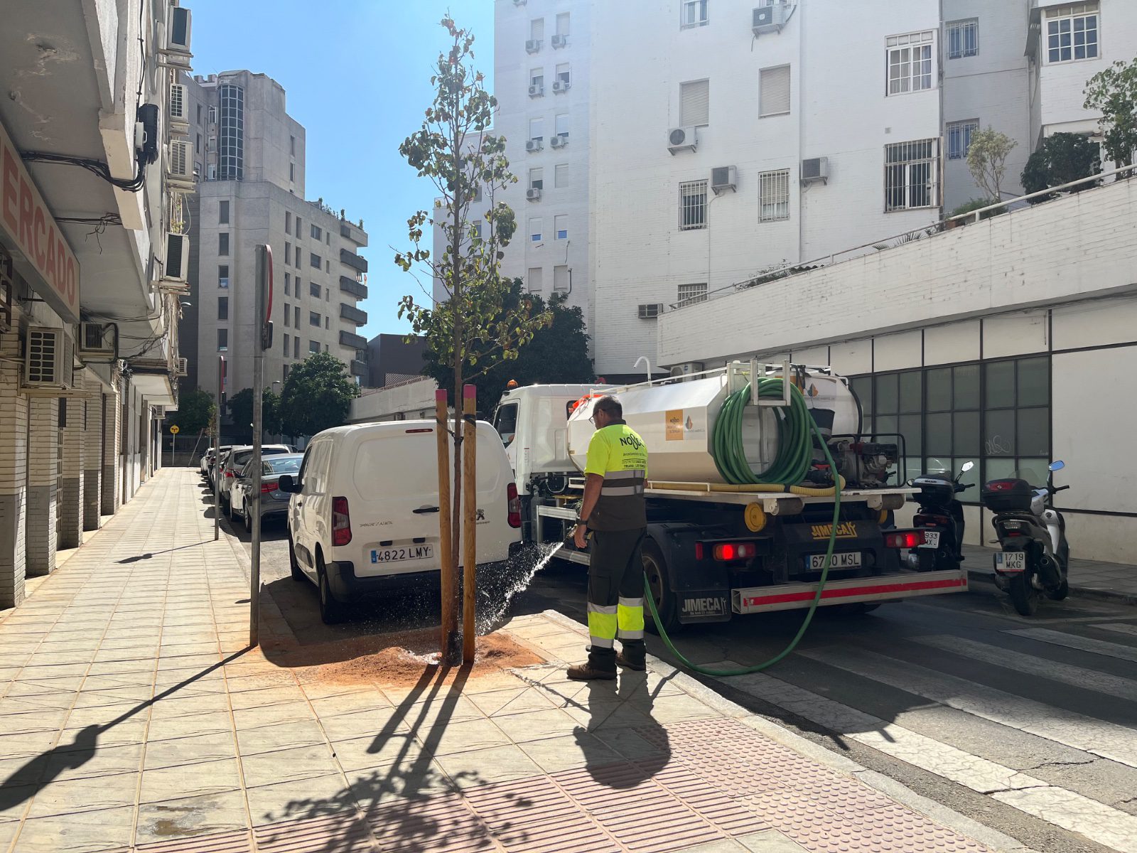 El Ayuntamiento refuerza el riego del arbolado en Los Remedios durante los meses de mayor calor