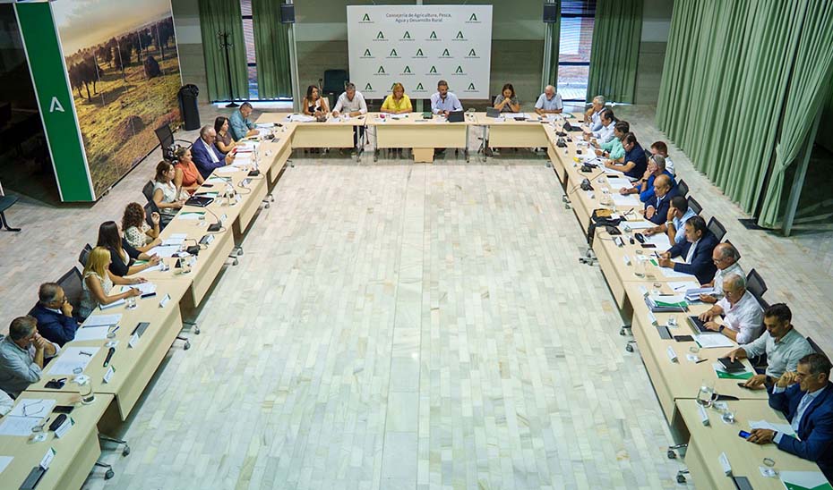 La Junta destina más de 29 millones de euros en ayudas al sector pesquero y acuícola en 2026