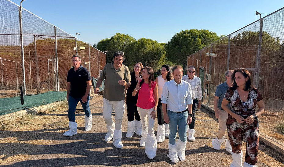 La Junta destina cerca de 1,9 millones a la ampliación del centro de cría del lince de La Olivilla