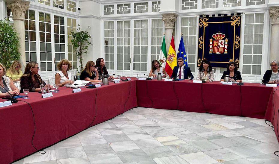 La Junta cree «decepcionante» la actitud del Gobierno central en el Comité de Violencia Machista