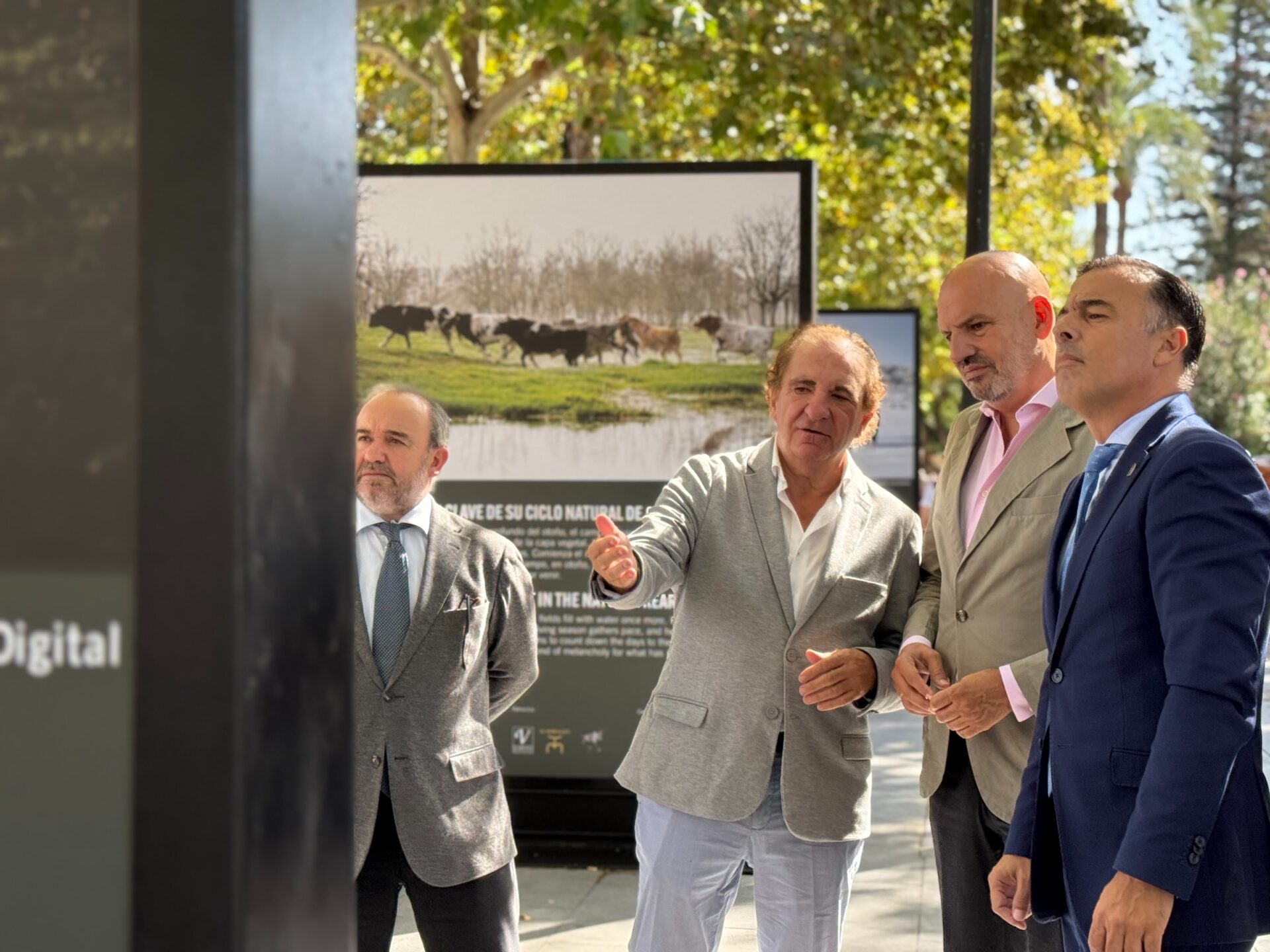 El Ayuntamiento impulsa, junto a los criadores del toro bravo, una muestra callejera para poner en valor la importancia de esta raza en la biodiversidad