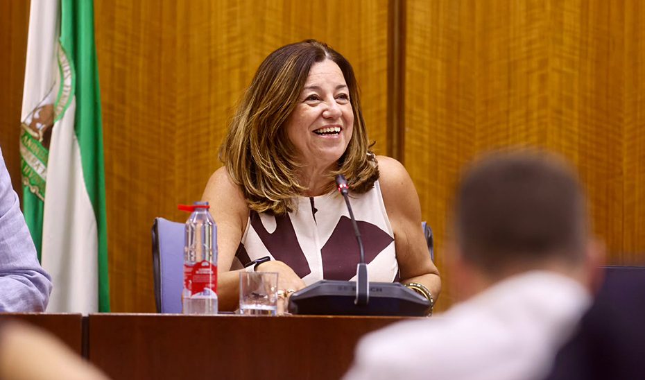 Educación sitúa la atención a la diversidad y el rendimiento académico como ejes de la legislatura