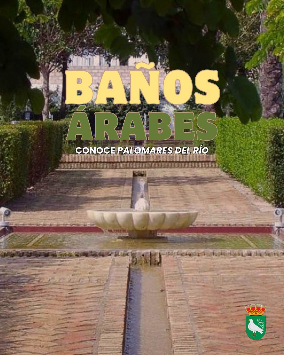 Baños Árabes: Un rincón de historia