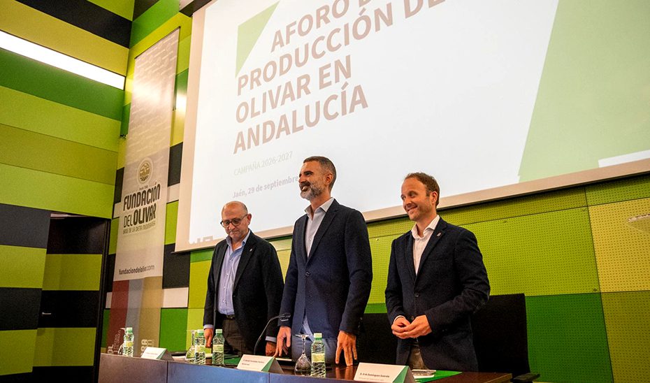 El aforo del olivar estima para la campaña 2026/27 una producción de 1.261.200 toneladas de aceite