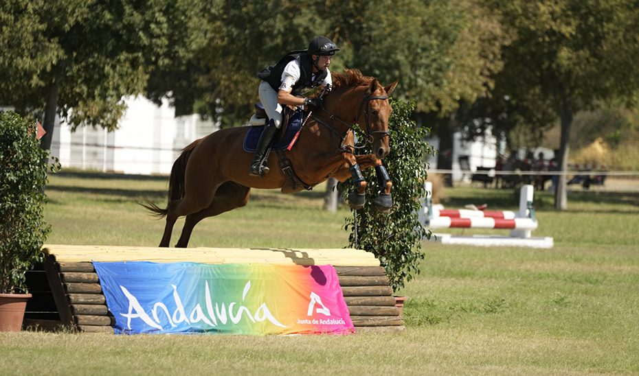 Más de 250 caballos se darán cita en el Parque del Alamillo en la XVI Gran Semana Anglo-árabe de Sevilla