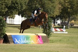 Más de 250 caballos se darán cita en el Parque del Alamillo en la XVI Gran Semana Anglo-árabe de Sevilla