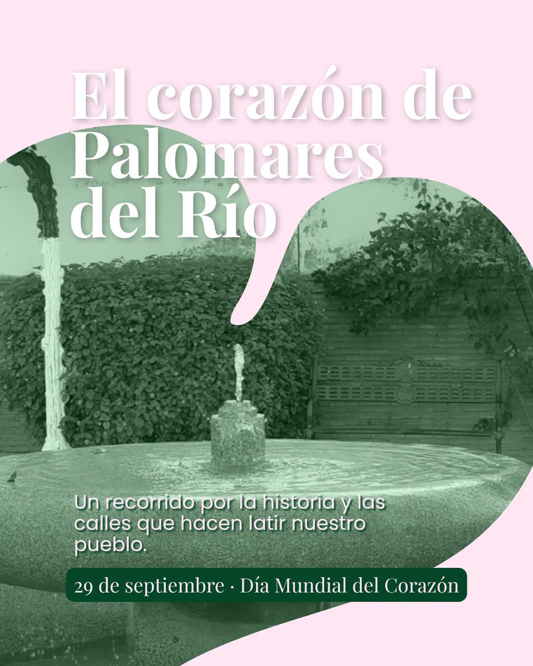Camina por Palomares, cuida tu corazón