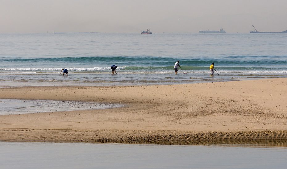 Convocadas ayudas por más de 11,8 millones en 2026 por paradas temporales de pesca y marisqueo