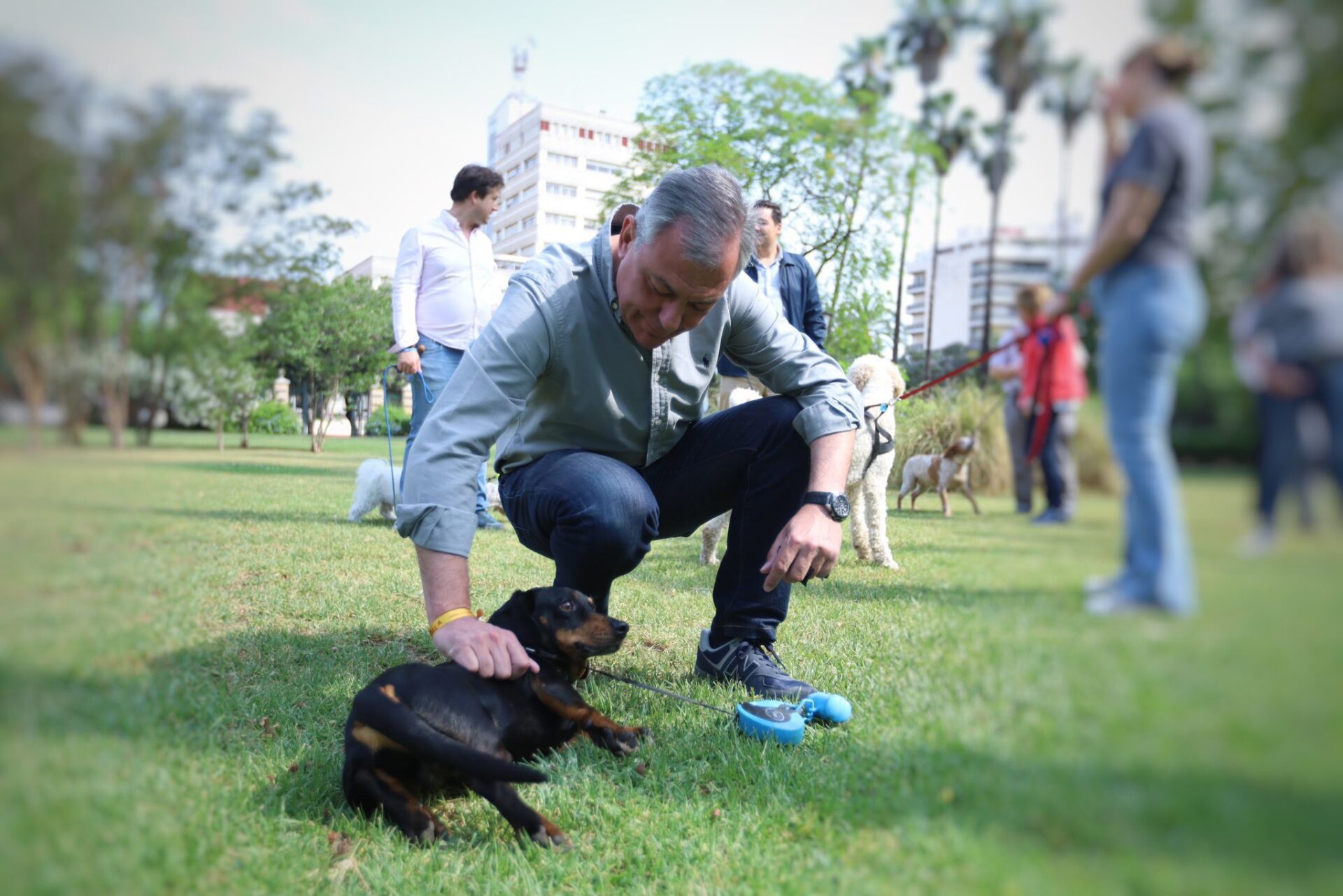 El Ayuntamiento lanza la campaña Un hogar para cada huella para fomentar la adopción de perros y gatos