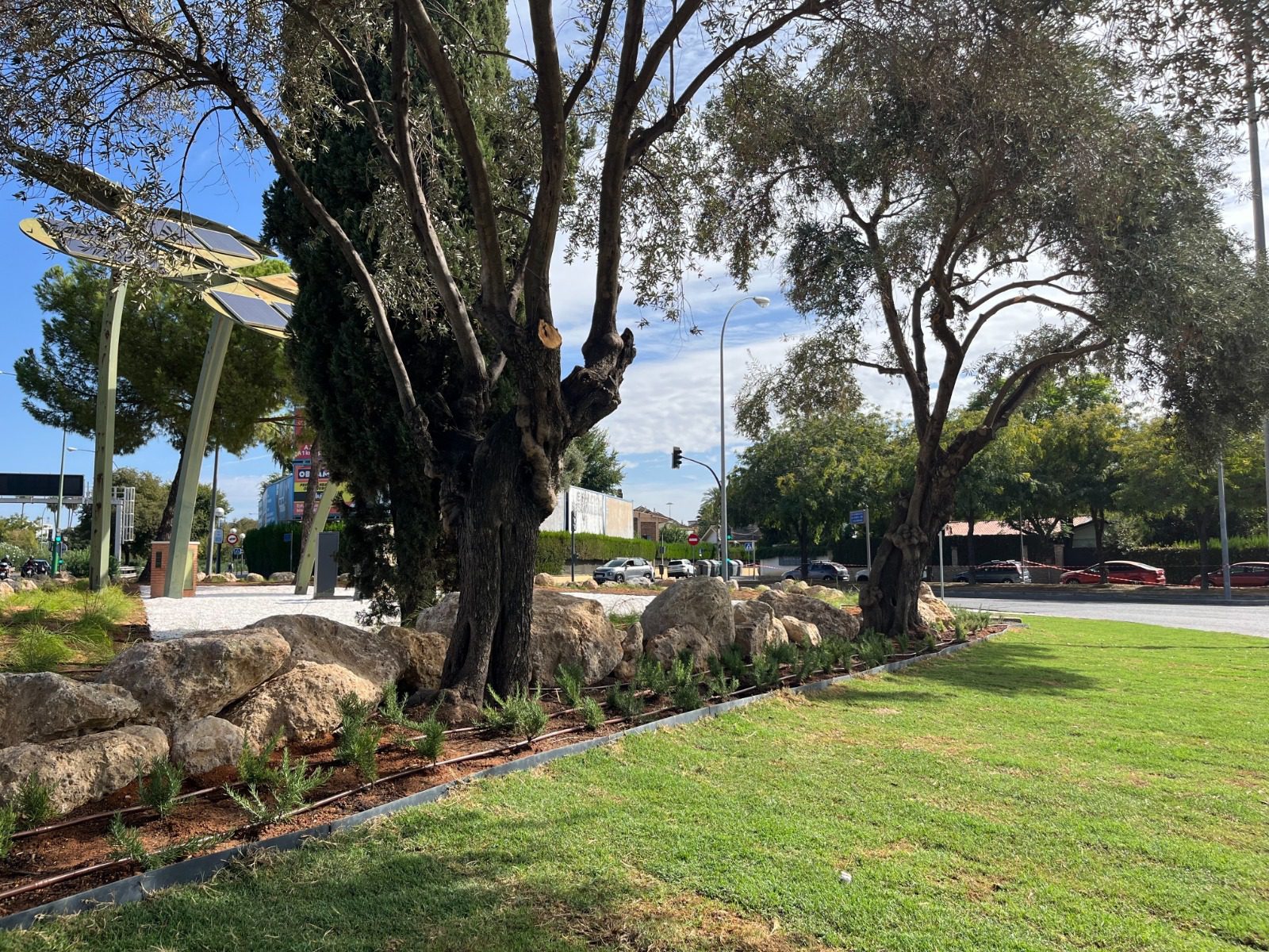 El Ayuntamiento renueva la glorieta Fuerte de Navidad y sus parterres anexos en Santa Clara