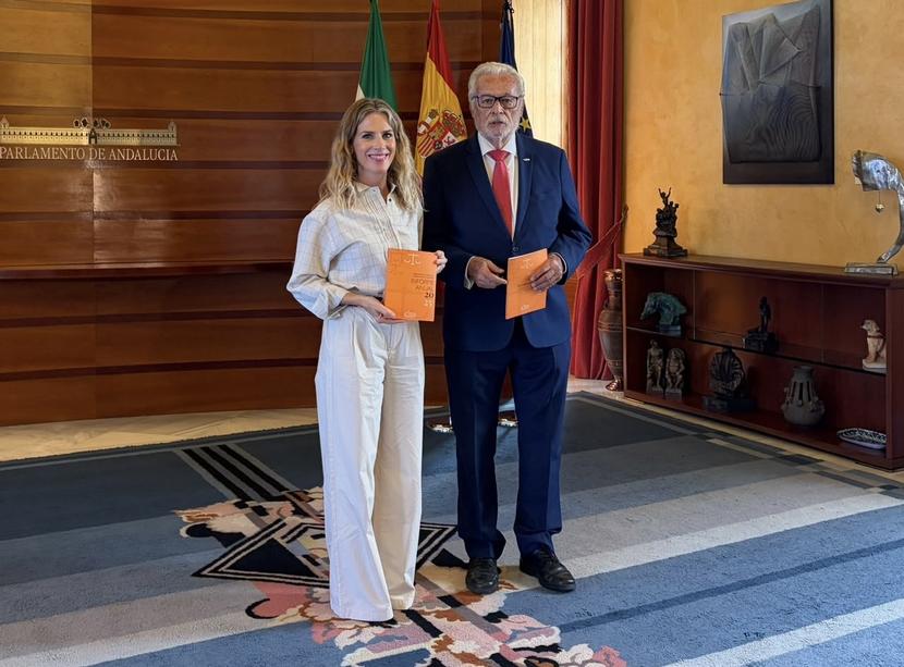 El Defensor de la Infancia de Andalucía alerta de la «epidemia invisible» de la soledad infantil y reclama una Estrategia andaluza para combatirla