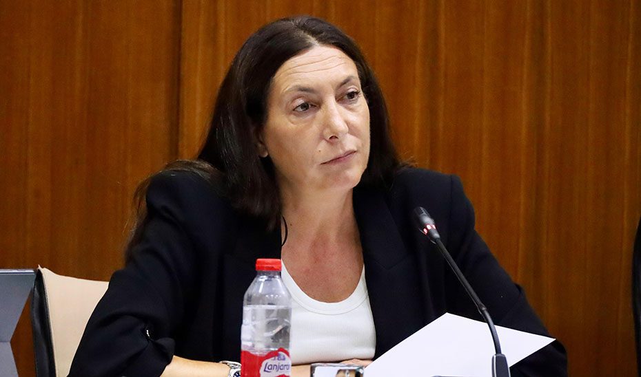 La Junta reivindica la familia como «escuela de valores» y reconoce todas las realidades familiares