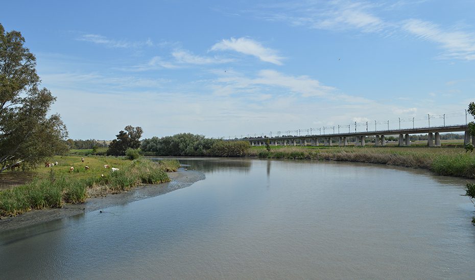 Avanzan las labores de reparación del azud del río Guadalete entre El Portal y La Corta, en Jerez