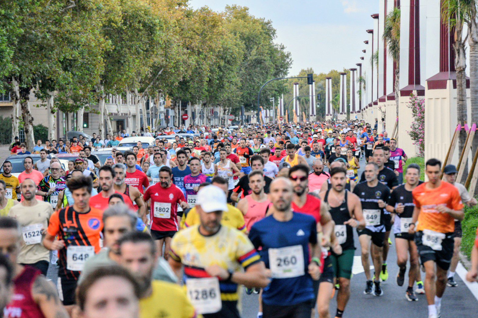 La Carrera Casco Antiguo ‘CaixaBank’ cierra el Circuito Divina Seguros del Ayuntamiento con más de 10.000 inscritos y victorias de Redouan Nouini y Laia González