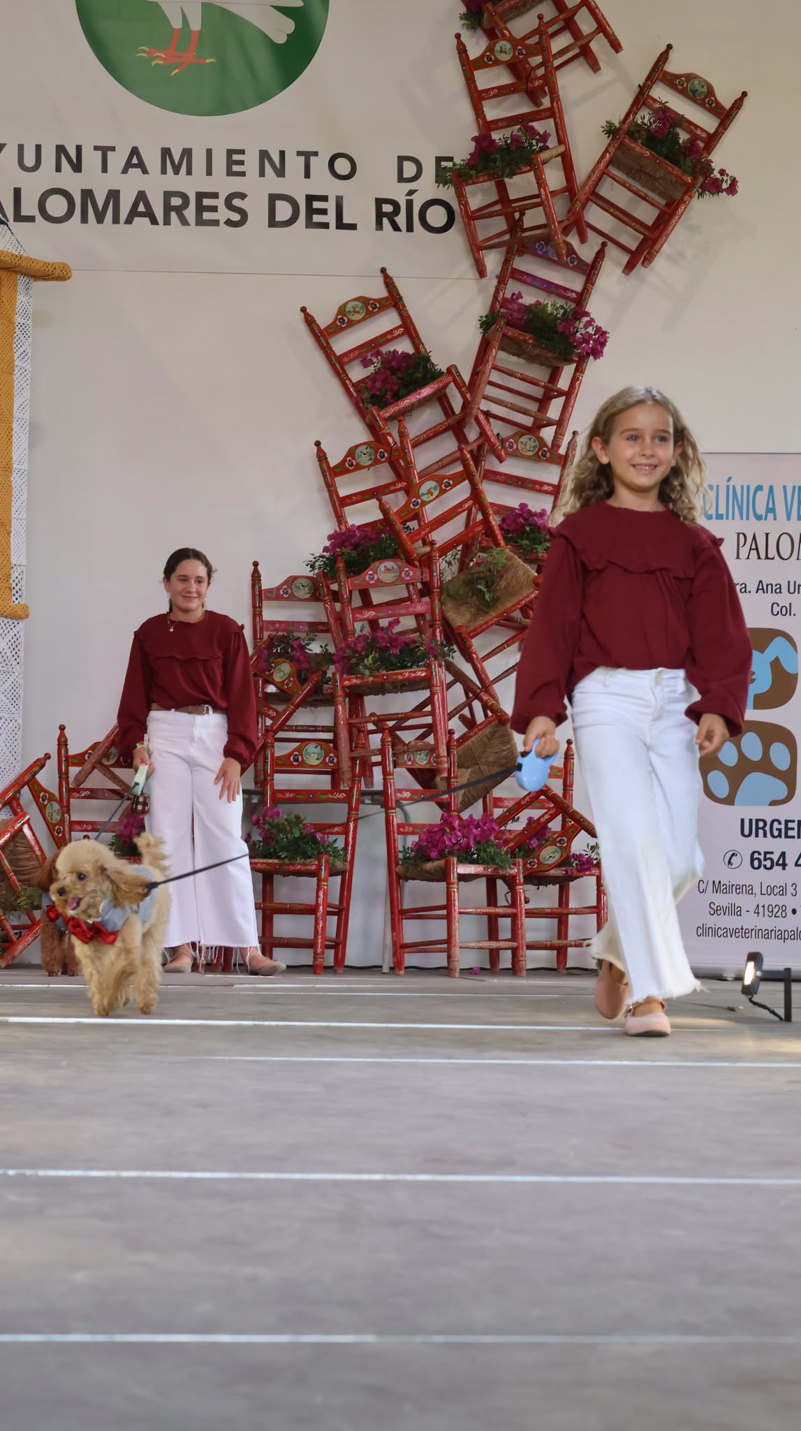 Seguimos en la IV Feria de la Moda y Belleza, turno de tarde, con el pase de la Clínica Veterinaria Palomares…