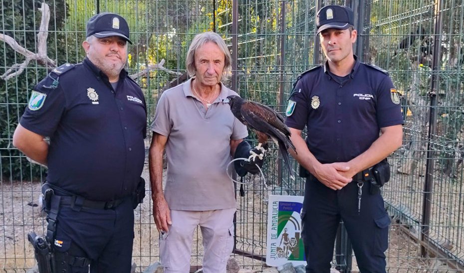 La Policía Nacional Adscrita recupera un águila rapaz e investiga un delito de maltrato animal