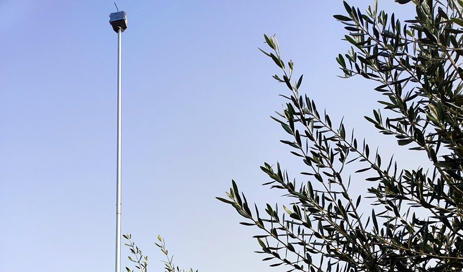 Nuevas tendencias de futuro a través de las nuevas tecnologías para el olivar
