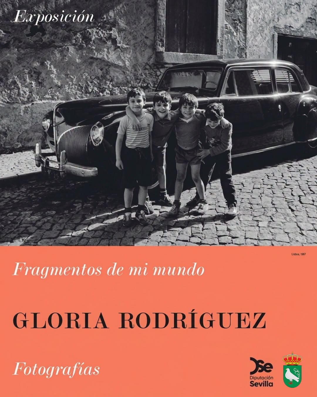 Exposición fotográfica: Fragmentos de mi mundo | Gloria Rodríguez